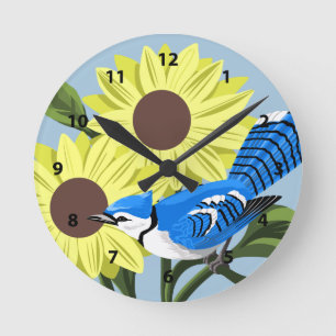 Relojes del pájaro del arrendajo azul