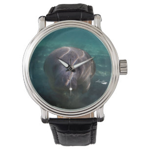 Relojes lindos del manatee del bebé para los