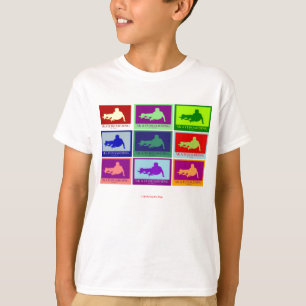 REMERAS PARA NIÑOS - PATINAJE - EQUIPO DE DESTRUCC