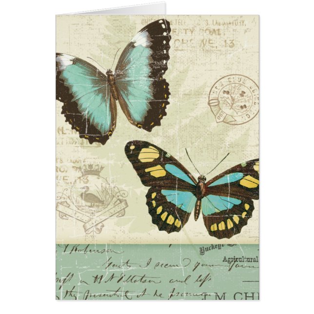 Remiendo de la mariposa (Frente)