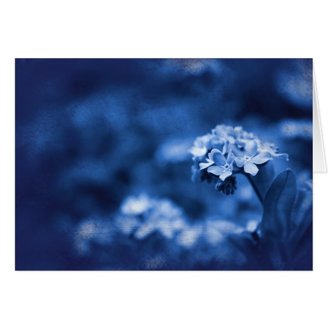 Reminiscence (Anverso (Horizontal))