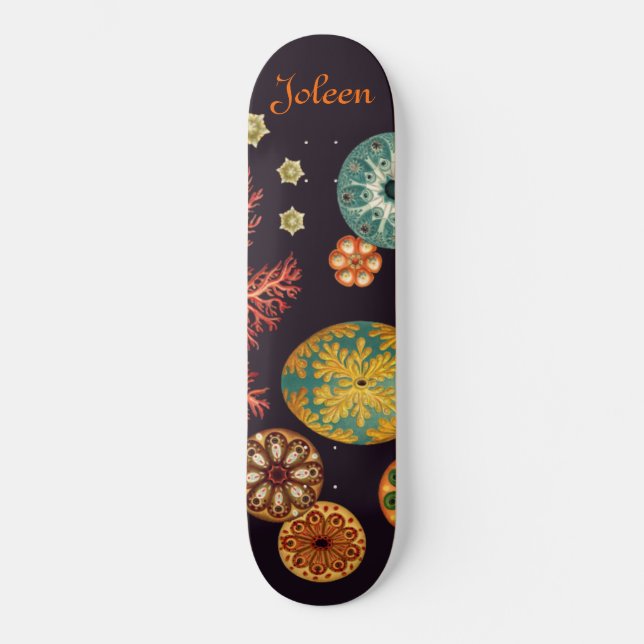 Remix de Patineta Sea Squirt (Anverso)