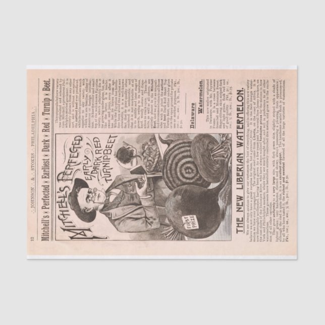 Remolachas del catálogo de la granja y papel (Anverso)