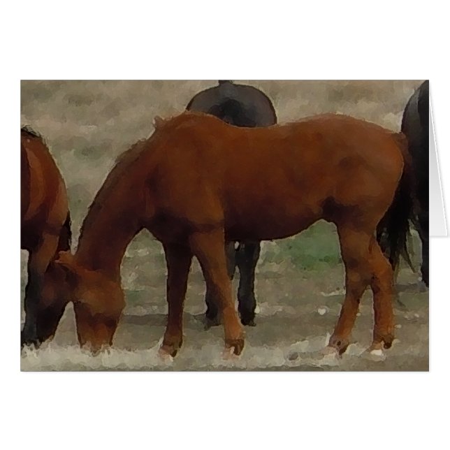 Remuda Herd Grazes - Caballos de vaca de rancho -  (Anverso (Horizontal))