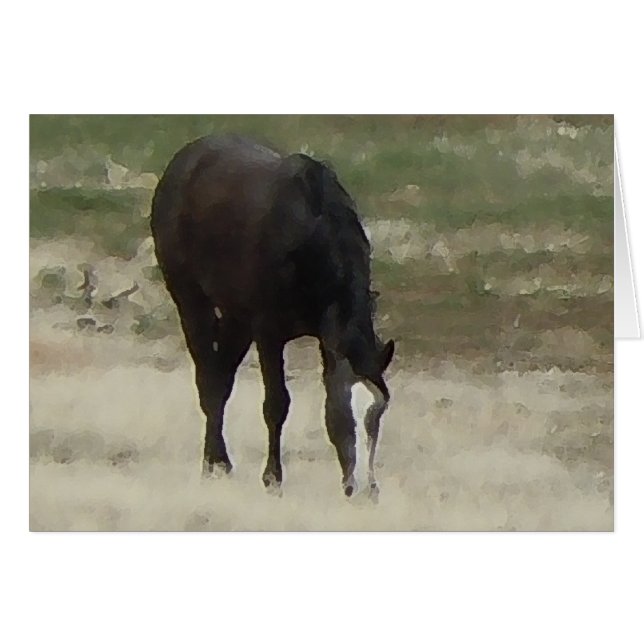 Remuda Herd Grazes - Caballos de vaca de rancho -  (Anverso (Horizontal))