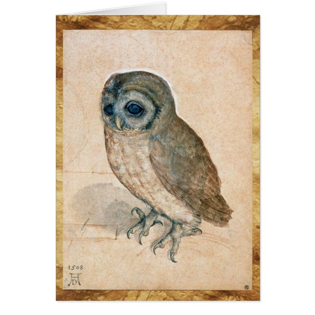 RENAISSANTE DIBUJOS ANIMALES / EL OWL (Frente)