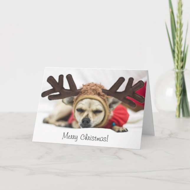 Reno de la chihuahua de las Felices Navidad (Anverso)