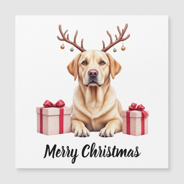 Reno de Labrador (Anverso)