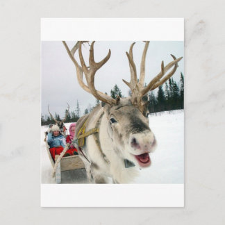 Reno del navidad