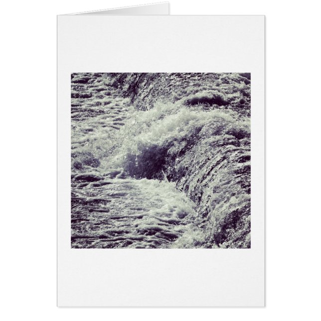 Rentabilidad (Frente)