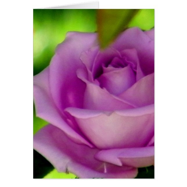 Renunciar a (Frente)