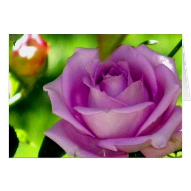 Renunciar a (Anverso (Horizontal))