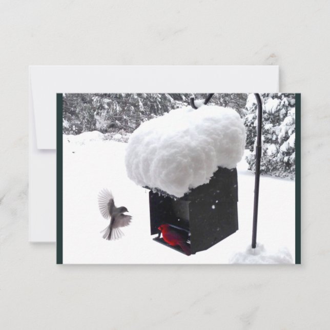 Reparador, cartero, UPS, FedEx, tarjeta de propina (Anverso)