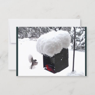 Repartidor, cartero, UPS, FedEx, tarjeta de propin