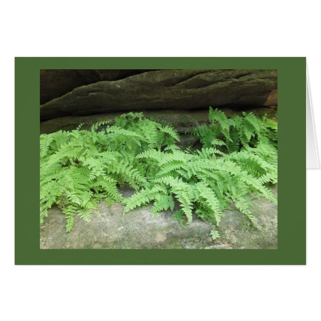 Repisa de helecho (Anverso (Horizontal))