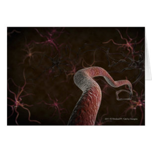 Representación de Digitaces de neuronas