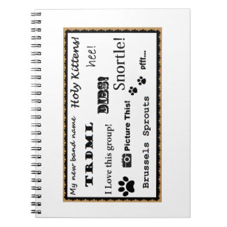 ¡Represente esto! cuaderno