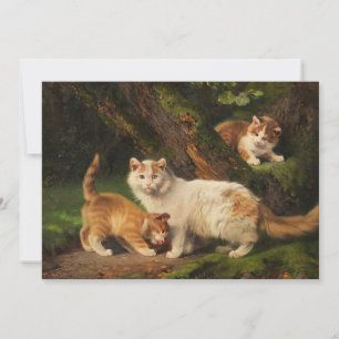 Reproducción de la familia de gato   Julius Adam e
