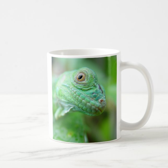 Reptil verde del lagarto de la iguana en la taza (Derecha)