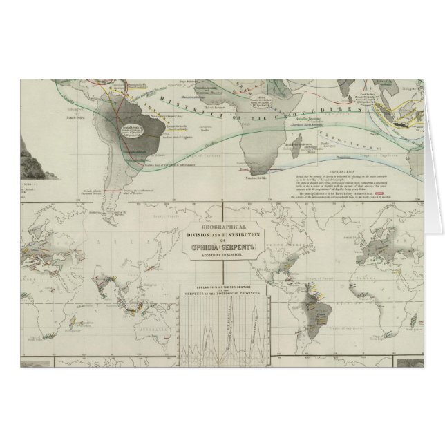 Reptilia, Ophidia (Anverso (Horizontal))