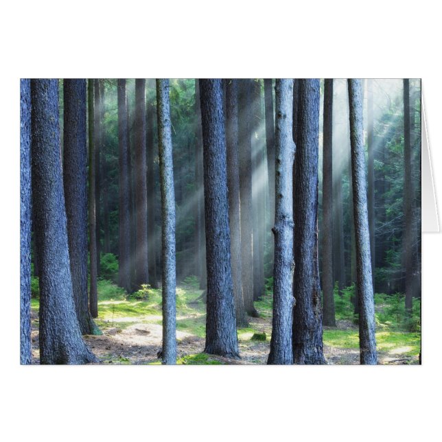 República Checa, Bohemia del Sur. Rayos de luz (Anverso (Horizontal))