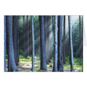 República Checa, Bohemia meridional. Rayos de la