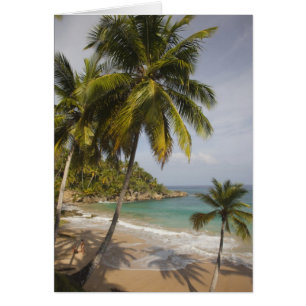 República Dominicana, Costa Norte, Abreu, Playa