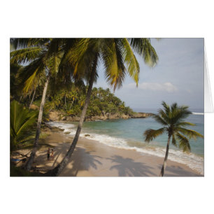 República Dominicana, Costa Norte, Abreu, Playa 3