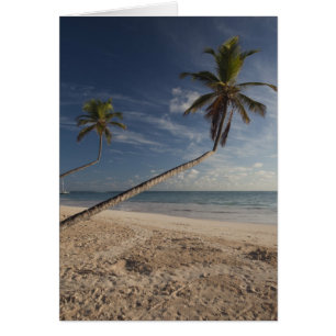 República Dominicana, Región Punta Cana, Bavaro, 4