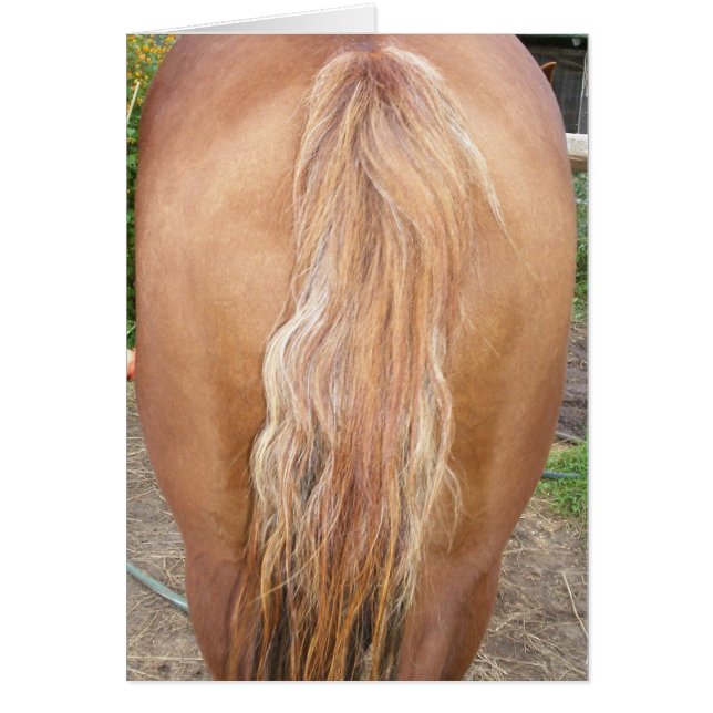 repunte de caballo (Frente)