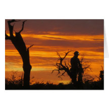 Rescatador al atardecer