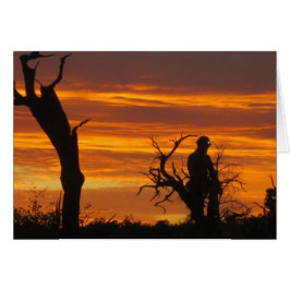 Rescatador al atardecer