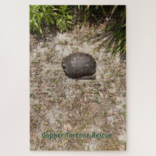 Rescate de Gopher Tortoise - Rompecabezas pesimist