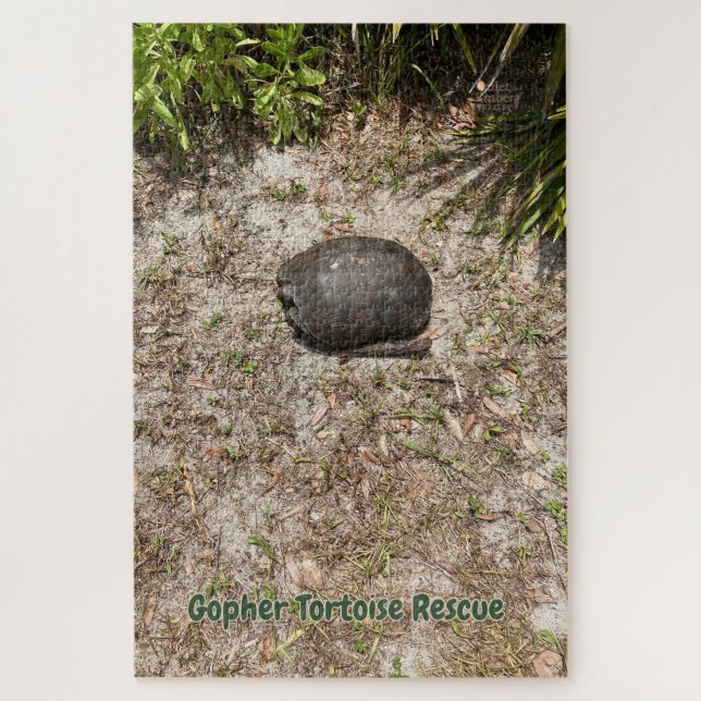 Rescate de Gopher Tortoise - Rompecabezas pesimist (Vertical)