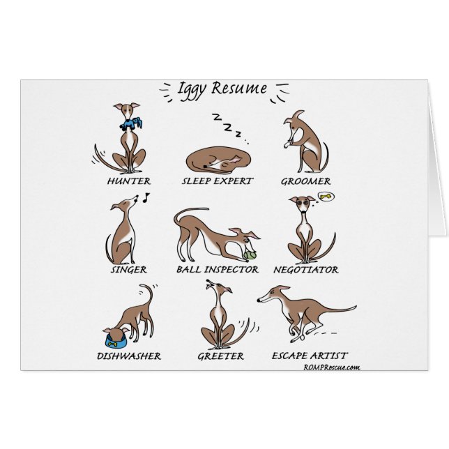 Rescate de Iggy (Anverso (Horizontal))