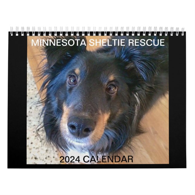 RESCATE DE MINNESOTA SHELTIE 2024 CALENDARIO (Tapa)