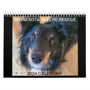 RESCATE DE MINNESOTA SHELTIE 2024 CALENDARIO