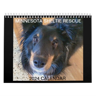 RESCATE DE MINNESOTA SHELTIE 2024 CALENDARIO
