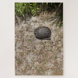 Rescate de Tortugas Gopher - Rompecabezas Quiet Em