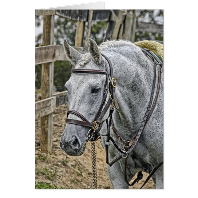 Rescate del caballo (Frente)