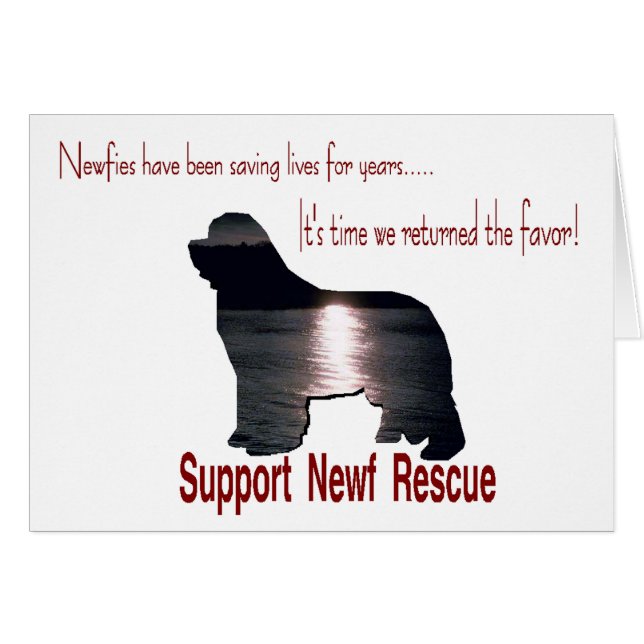 Rescate en Terranova (Anverso (Horizontal))