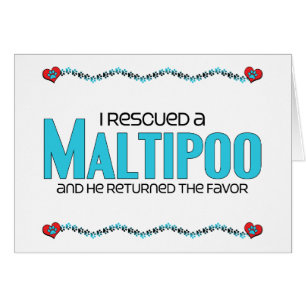 Rescaté un diseño de la adopción del perro de