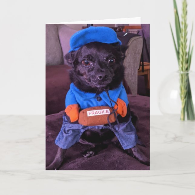 Rescue Dogs Standard, tarjeta de felicitación pleg (Anverso)