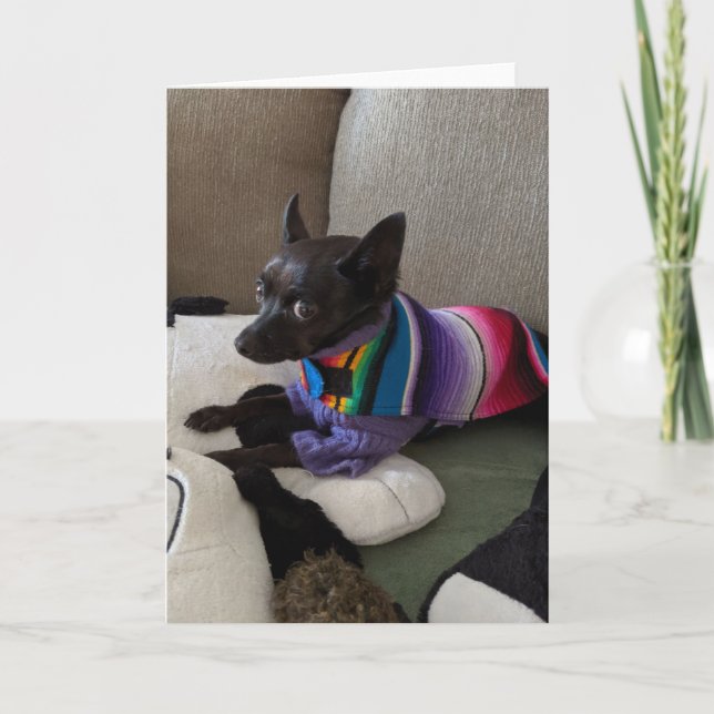 Rescue Dogs Standard, tarjeta de felicitación pleg (Anverso)