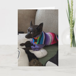 Rescue Dogs Standard, tarjeta de felicitación pleg