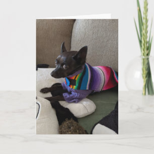Rescue Dogs Standard, tarjeta de felicitación pleg
