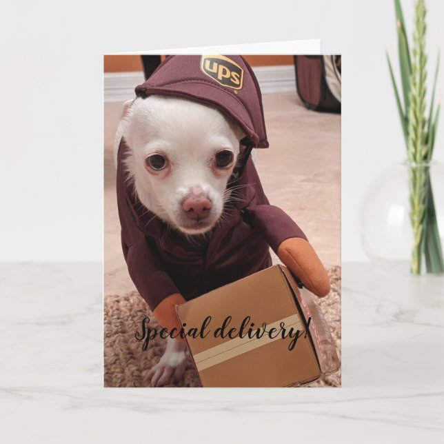 Rescue Dogs Standard, tarjeta de felicitación pleg (Anverso)