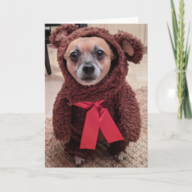 Rescue Dogs Standard, tarjeta de felicitación pleg (Anverso)
