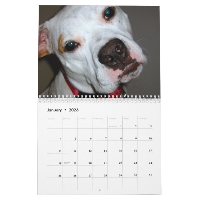 Reserva de Pitbull el calendario de la raza (Jan 2026)