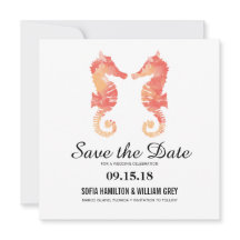 Acuarela de caballito de mar costero | Guardar la 